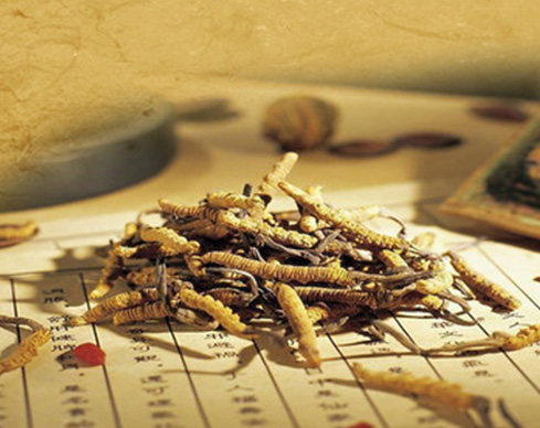 10余年品牌沉淀 